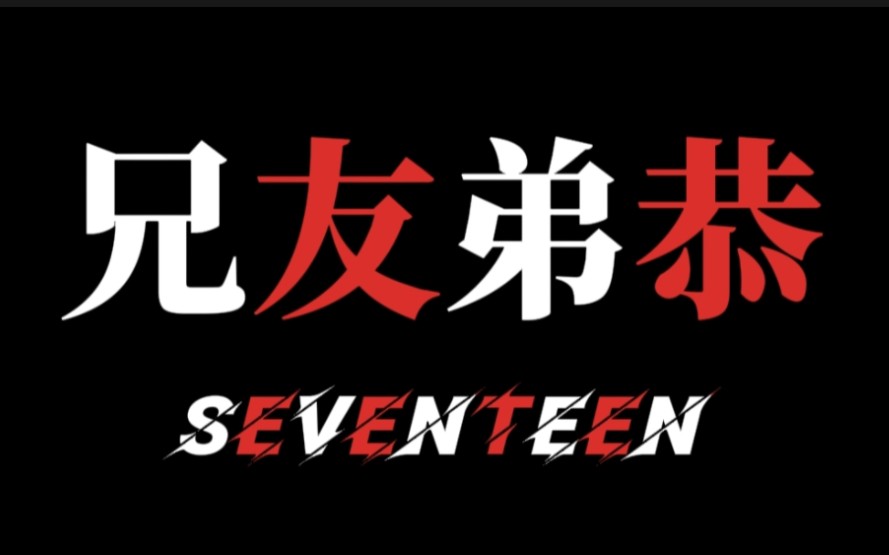 【seventeen】经纪人：拜托了！别打脸！！
