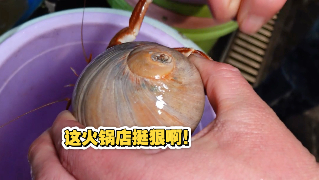 在大连一个人吃火锅，花了1000多，值吗？
