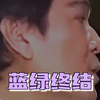2015立委們勸進喬王的經典吹牛