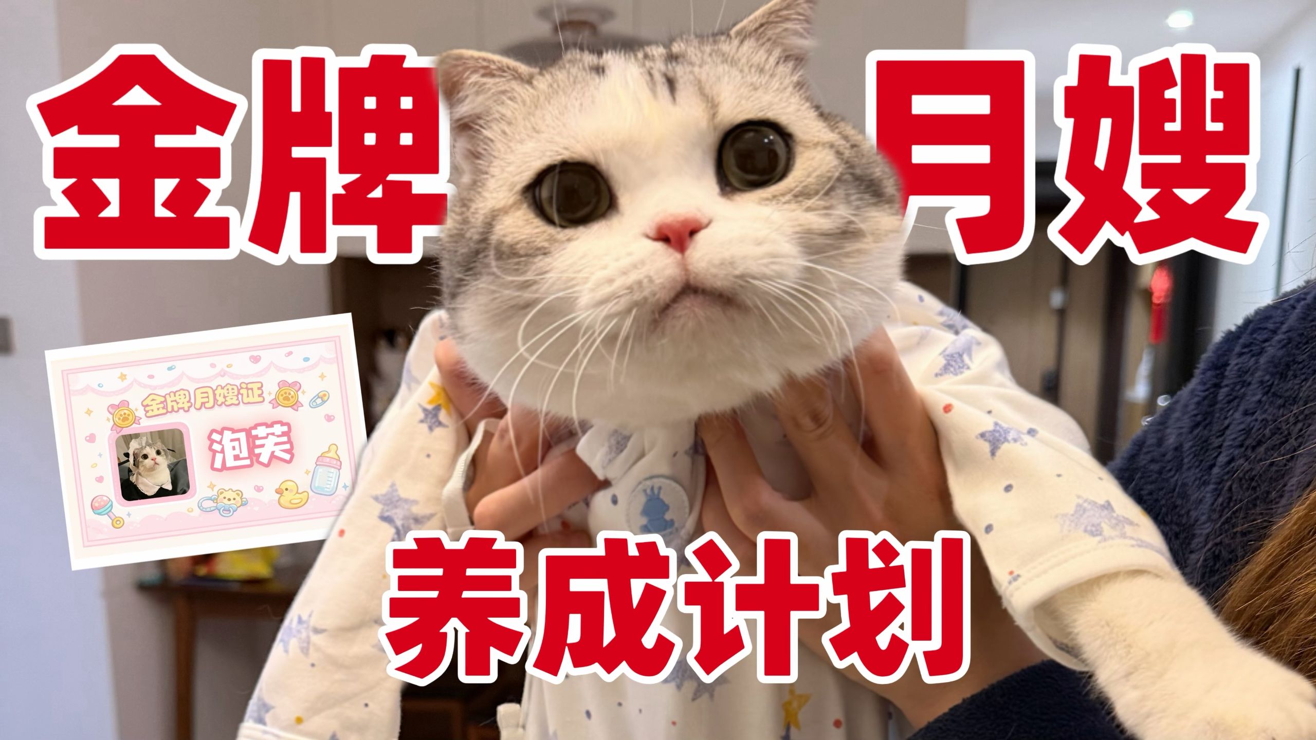 真棒！9岁就当上了金牌月嫂