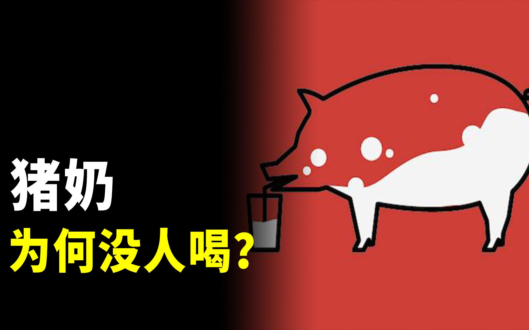 没人喝猪奶,这是为什么?哔哩哔哩bilibili