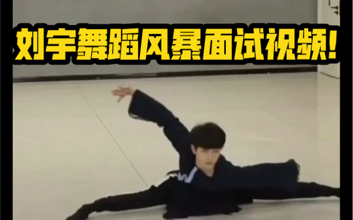 刘宇舞蹈风暴的面试视频，这腰功腿脚都绝绝子！