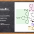 寡核苷酸的化学合成之亚磷酰胺法