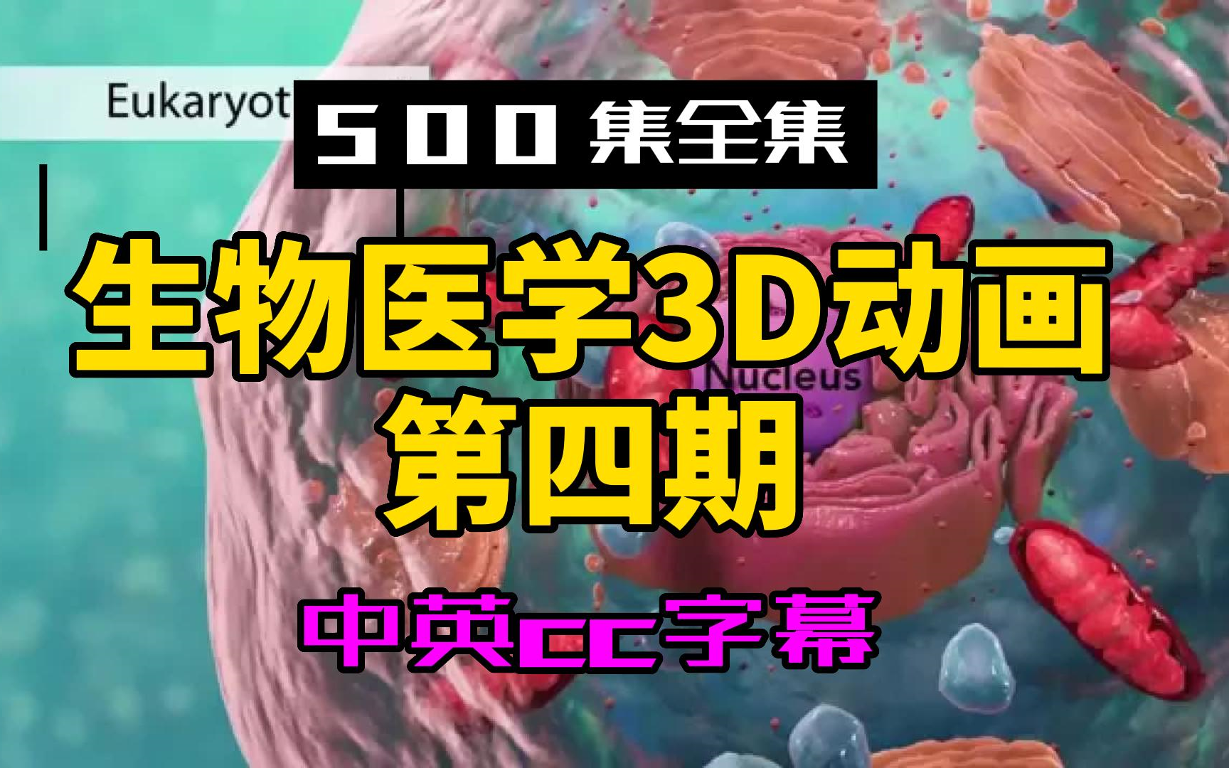 【500集全集】生物医学3D动画第四期-第141至210集-中英cc字幕-生物医学英语-持续更中