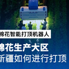 新疆棉花生产大区，已经用上了棉花智能打顶机器人 #农业科技 #机器人