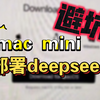 macmini m4 本地部署deepseek的几个坑