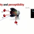 公开课 Robotic Vision -11.5 Motion perceptibility and ambiguity