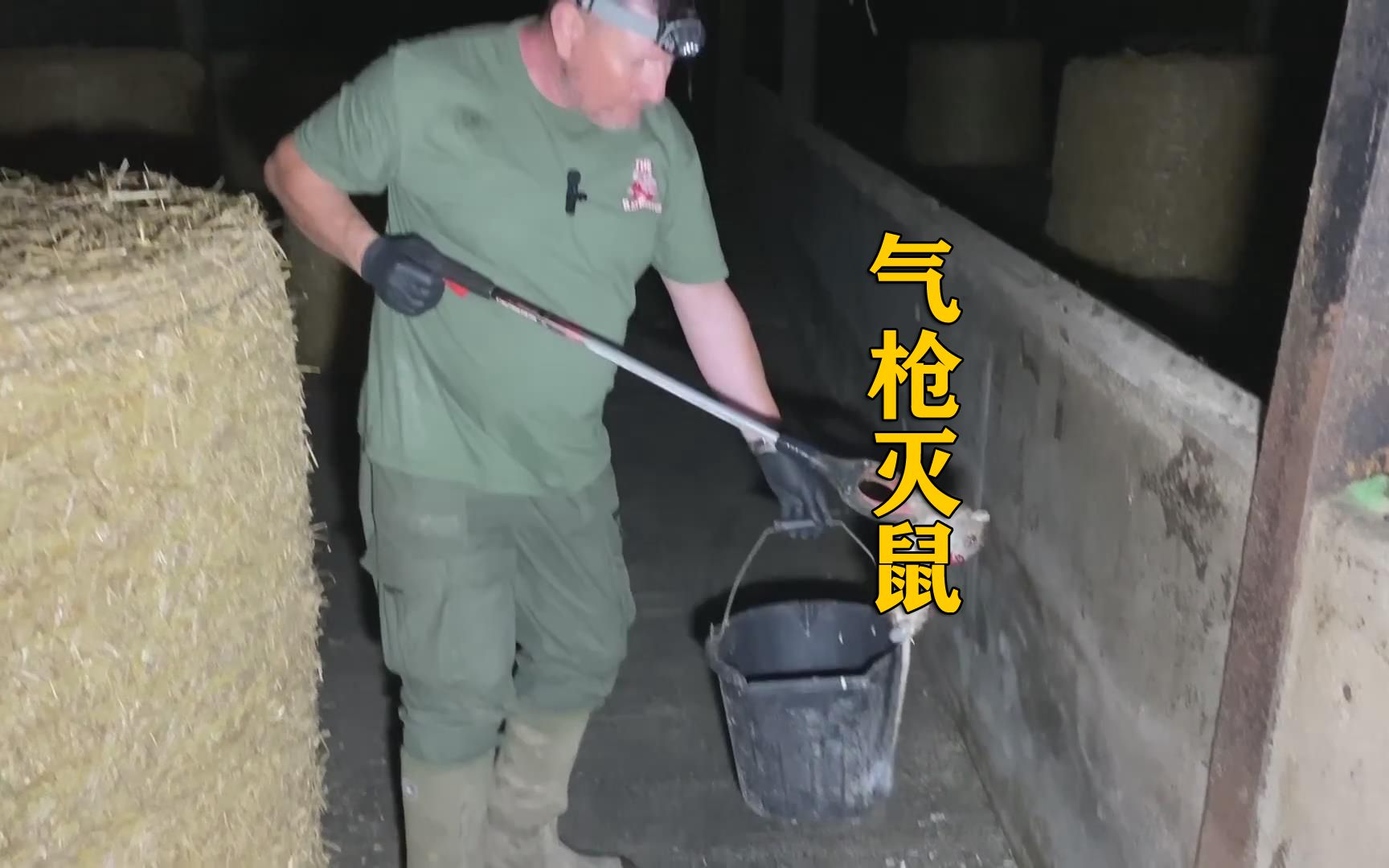农场主气枪灭鼠，消灭的老鼠直接收集起来做肥料
