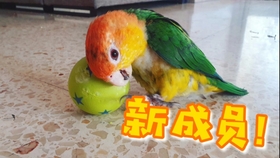 af8eb25b77150e9a389b9ff3847ee25fe6c10820.jpg@280w_158h_1c_100q.jpg
