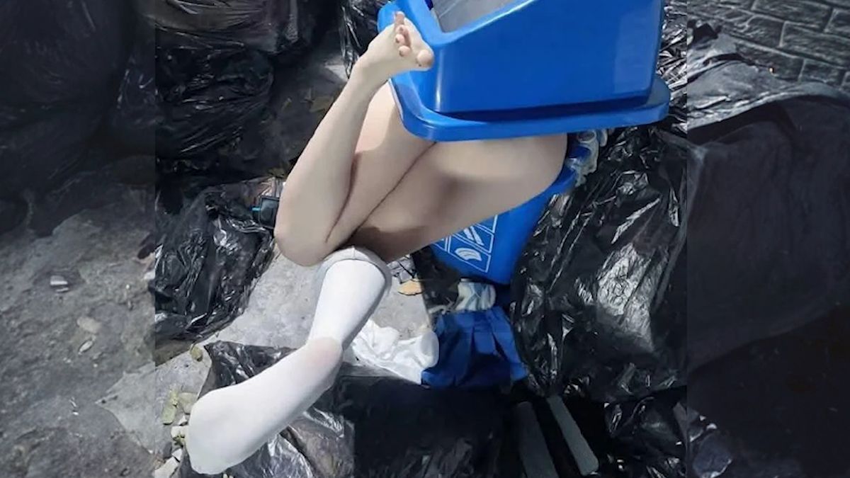 国外趣味视频集锦＆动物迷惑行为大赏#258