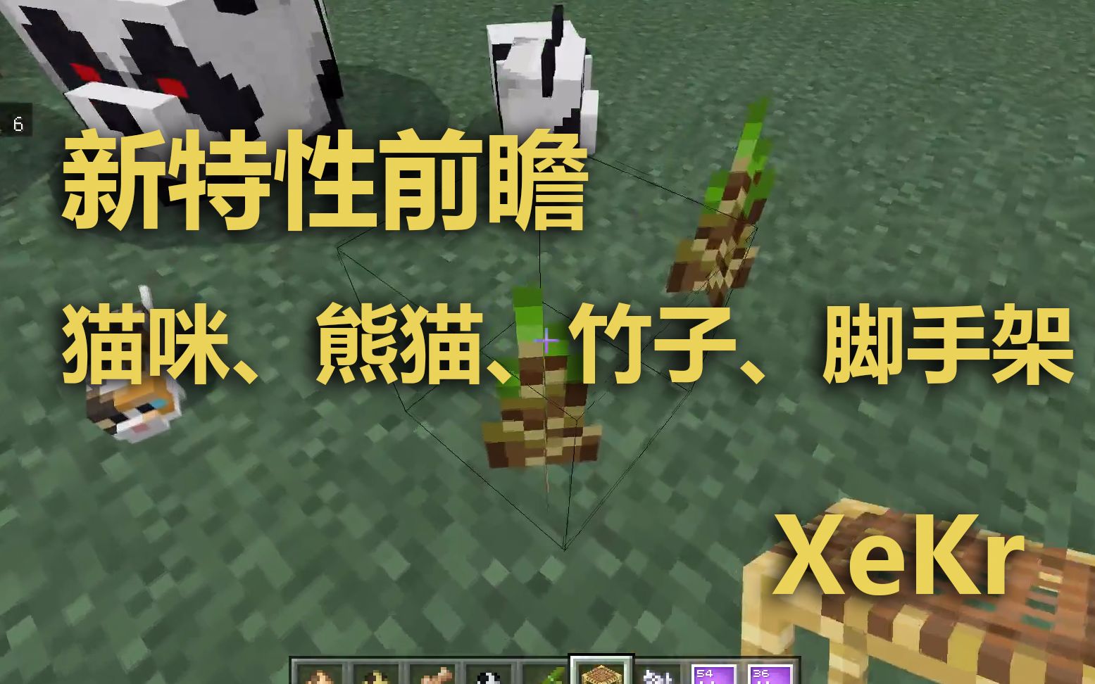 Xekr 喵咪 熊猫 竹子 脚手架 Minecraft新特性前瞻 哔哩哔哩 つロ干杯 Bilibili
