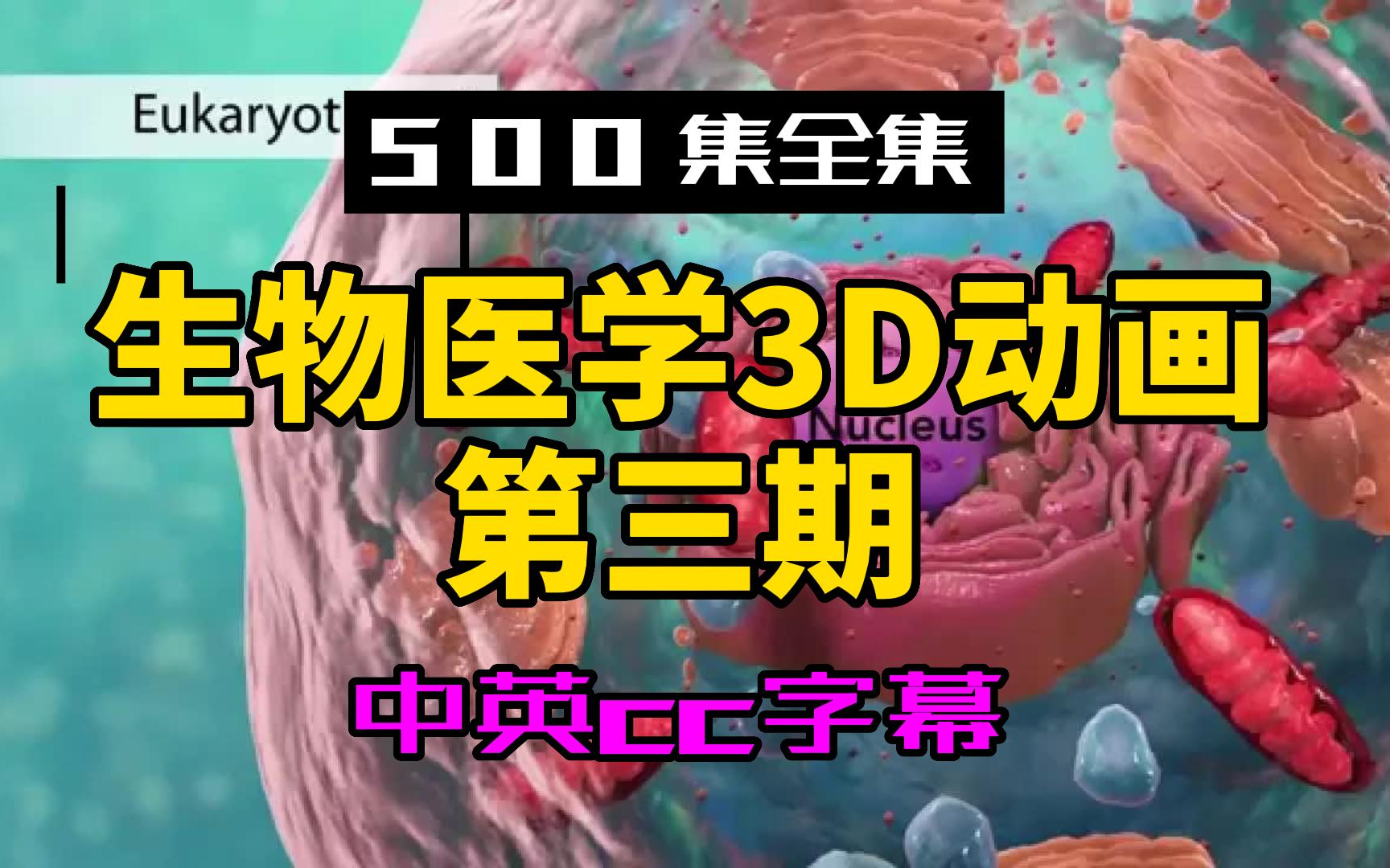 【500集全集】生物医学3D动画第三期-第81至140集-科普-英语听力口语单词