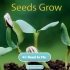Seeds Grow | 国家地理少儿英语读物