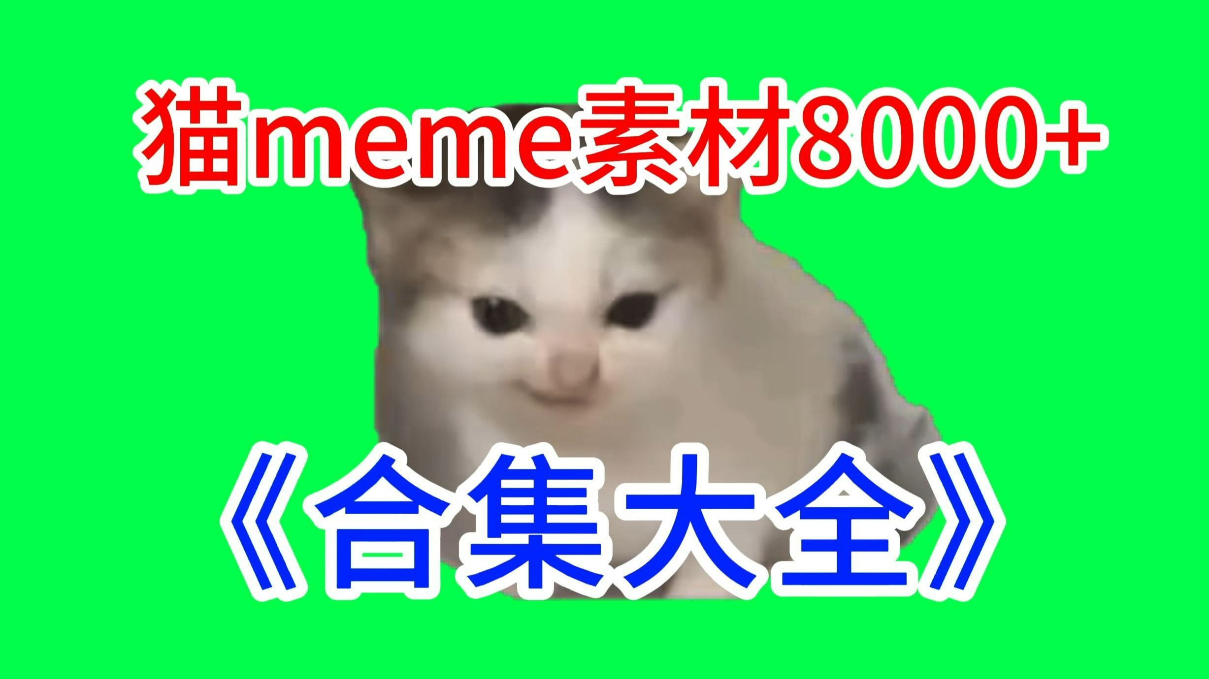 【希特勒德语猫！】猫meme绿幕素材完整分享～，猫meme素材整合分享，合集分享！