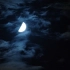 【空镜素材/夜晚月亮】夜空中的半轮月亮/夜晚的月亮/夜晚树枝月亮/夜空中布满乌云的下弦月/夜晚月亮挂树梢上/流动的云/月