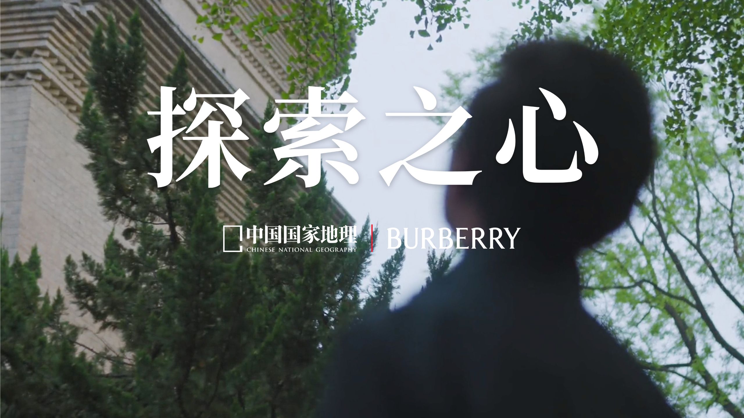 随李社长回望秦岭之行，见探索本心