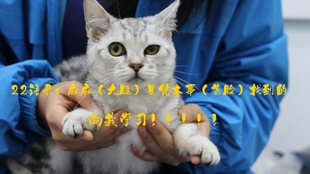 免费送猫呼和浩特 aff7b8a27b5a5a2b045f72eff251cff13ef77318.jpg@310w_174h_1c_100q.jpg