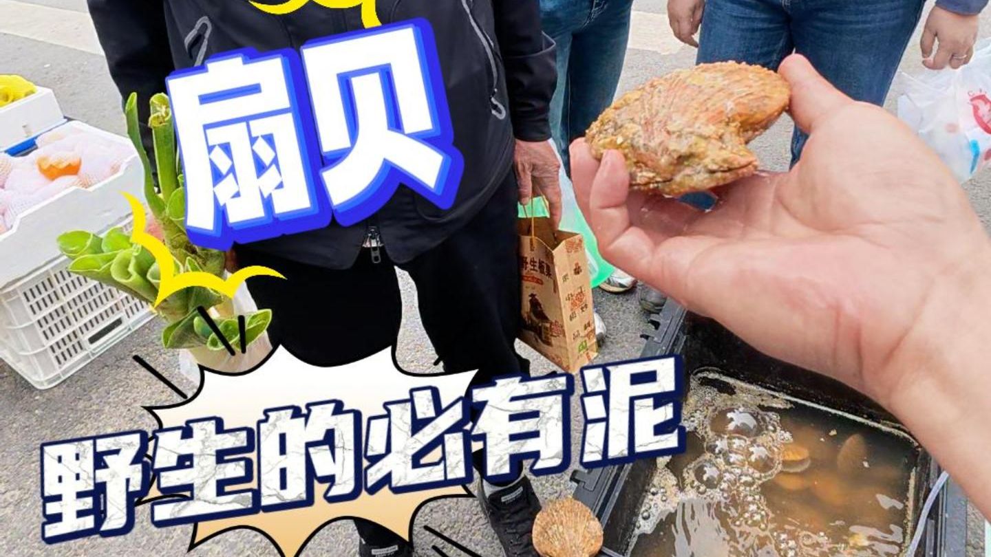 野生扇贝必有泥，小区门口摆地摊