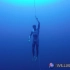 Roatan 2017自由潜水赛事 WILIAM TRUBRIDGE 攀绳项目116米（FIM）