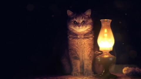 小夜灯恶搞视频,小夜灯恶搞视频大全