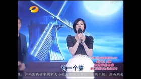 成语什么都市_不接是什么成语(4)