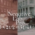 #003 完美胶片数字化Negative Lab Pro
