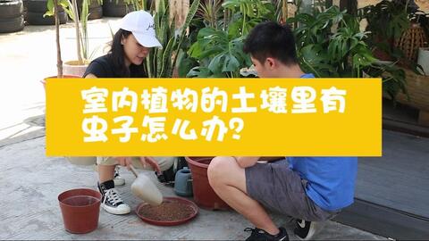 b00529b85933c79e5b63ea3fb6fbc9f6063d7766.jpg@480w_270h_1c