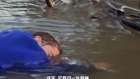 美人鱼是怎么死 b02615f01bb8aa95388c7d3656d888fc18a82194.jpg@280w_158h_1c_100q.jpg