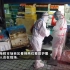 武汉病毒性肺炎高发地华南海鲜批发市场关停，人员撤离