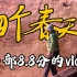 豆瓣8.8，1500块拍的vlog，最好的中国家庭纪录片代表作《四个春天》！