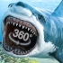 【360°全景VR】鲨鱼攻击-水下深海虚拟现实体验