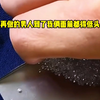 小说推荐《听月混世