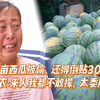 200亩西瓜被偷，还得倒贴300块？瓜农：来人我都不敢撵，太委屈了