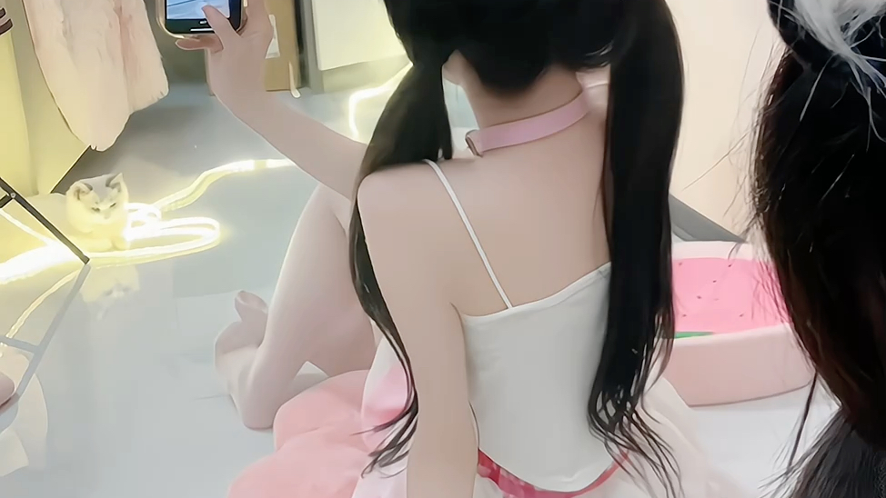 [Softie Cat has become an adult] Video loading, check out the surprises quickly!