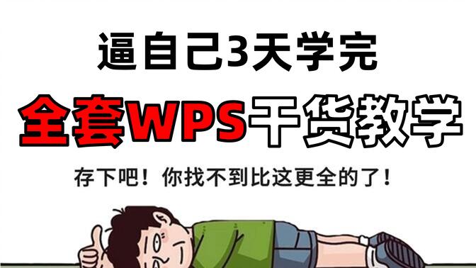 2024 WPS全套零基础办公入门课程 | 办公必备/简单易懂/快速掌握/Excel/Word/PPT/Office/数据分析/图表制作