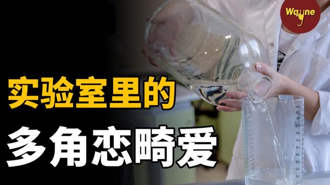 台湾清华大学学霸间的一场畸形多角恋，引起实验室里的塑料姐妹反目成仇，酿成悲剧。
