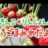 五十岚和梨衣熊的草莓广播（1~105）