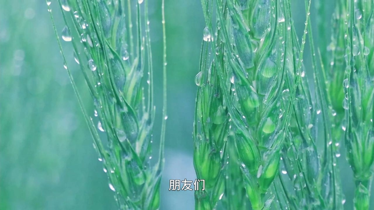 千万别把自己累个半死，这只会把好牌打得稀烂！四两拨千斤的底层原理！