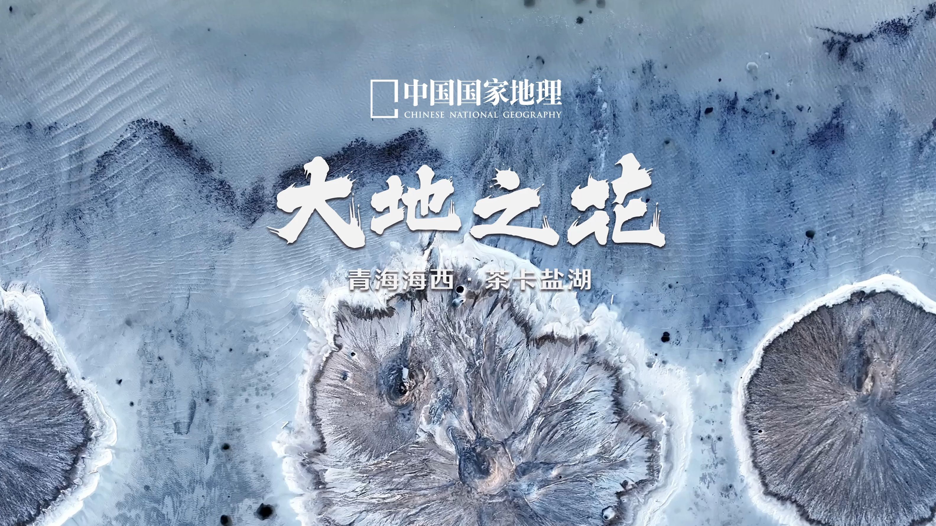 茶卡盐湖｜盛开在盐湖上的大地之花，一眼惊艳！