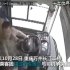 沉思！重庆公交车坠江事故一周年，你错过了一站，有的人错过了一生！！！