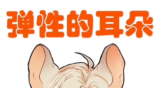 如何正确的清理自己的耳朵 b09900b7d3db8f1461f56bb70ee903a6045fd254.jpg@310w_174h_1c_100q.jpg