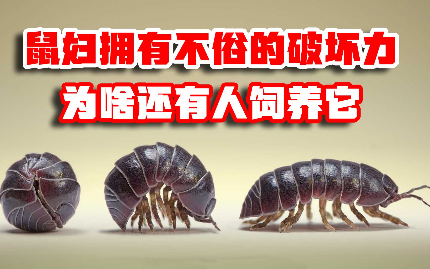 工厂灭虫方法 - 灭虫 - 南充市有害生物防治协会