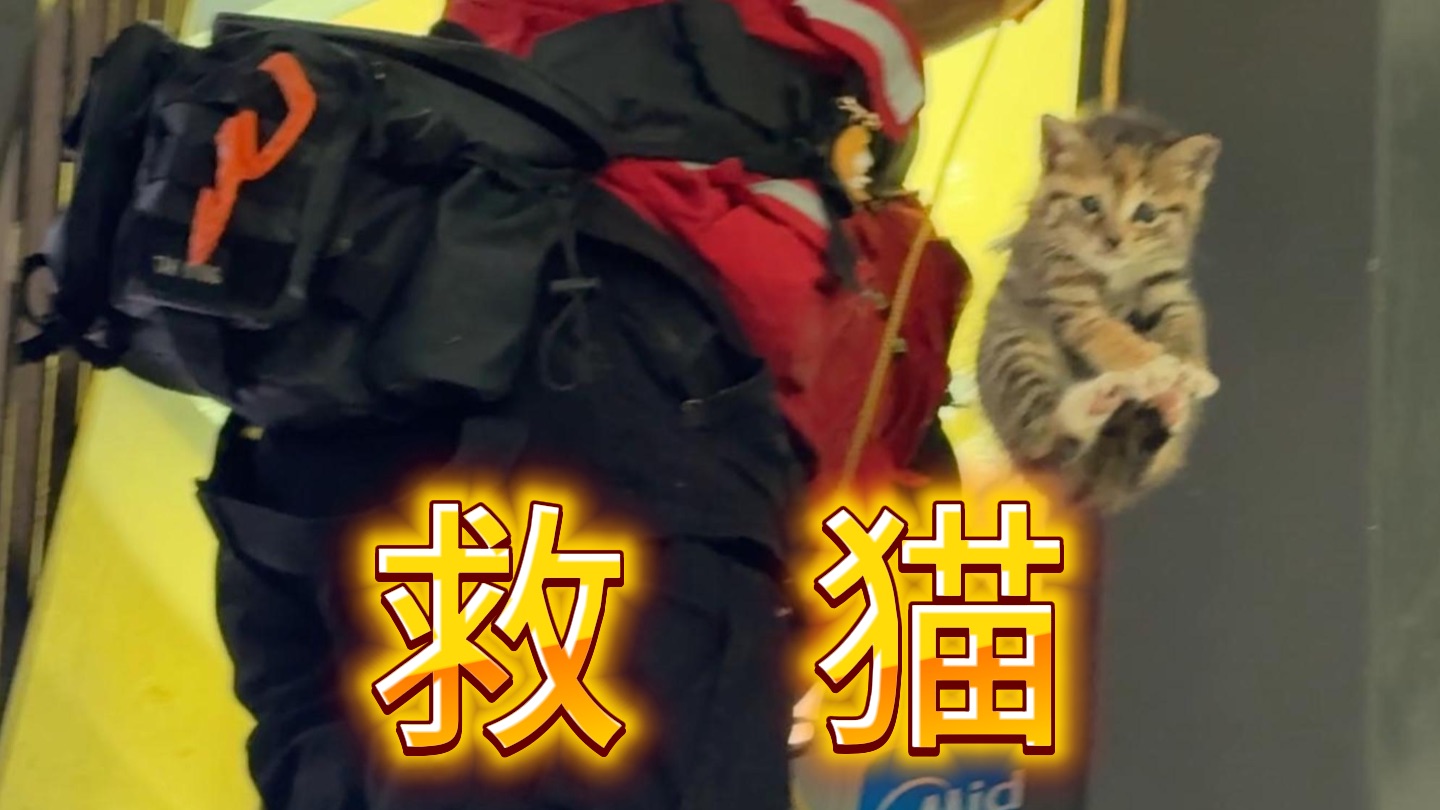 抱歉，让小猫伤心的事我们做不到