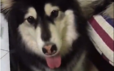 【老岳父】墨爷酒鬼合伙欺负撕家,老岳父出手