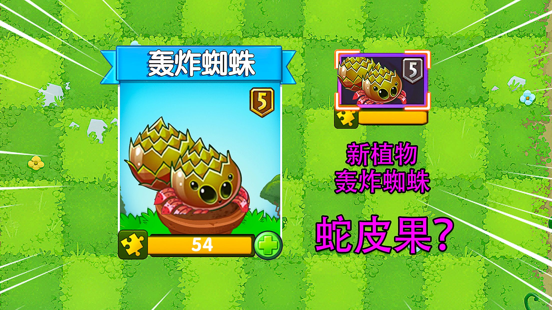 PVZ资讯：新植物轰炸蜘蛛？网友：动物大战僵尸？