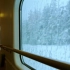 【白噪音/助眠/学习】西伯利亚雪原的火车之旅Relaxing Train Journey