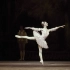 24段最美的经典芭蕾独舞，不可错过！