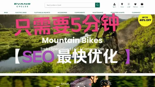 免费独立站谷歌SEO检查工具，优化网站运营架构
