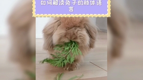 b0fe0687bbe4b9f9748428a61b30217823f04d38.jpg@280w_158h_1c_100q.jpg