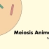 减数分裂Meiosis动画演示